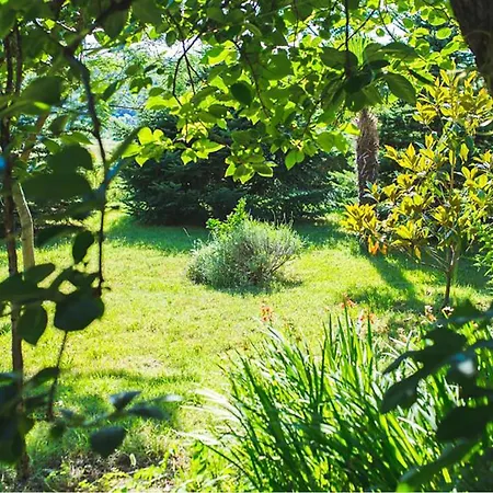 Apartment Awesome In With Sauna *