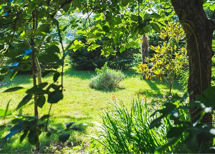 Lägenhet Awesome In With Sauna *